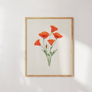 Stampa artistica di papaveri della California. Dipinto ad acquerello di papaveri della California. Stampa di fiori selvatici arancioni. Opera d'arte di papaveri.