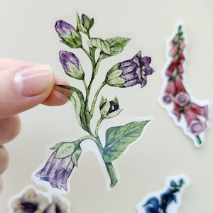 Genomskinlig Belladonna-klistermärke, Akvarell giftig blomma-klistermärke, Transparent vinyl