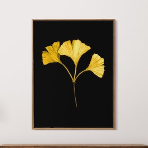 Ginkgo leaf art print. Gingko Biloba dark botanical print. Gingko leaf fall wall decor. Watercolor gingko tree art. Autumn leaf painting
