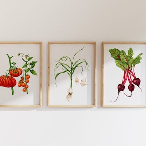 Vegetable garden 3 piece wall art. Set of three prints. Watercolor vegetable paintings. Vegetables wall art. Watercolor food art.