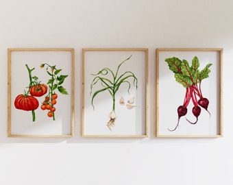 Vegetable garden 3 piece wall art. Set of three prints. Watercolor vegetable paintings. Vegetables wall art. Watercolor food art.