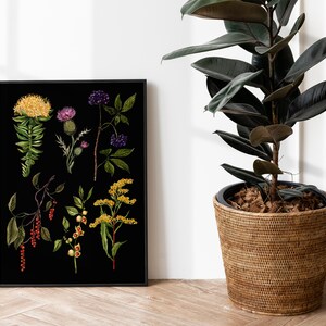 May include: A black and white botanical illustration featuring a variety of plants and flowers, including a yellow flower, a purple thistle, a green plant with red berries, and a yellow flower with green leaves. The illustration is framed in a black frame and is hanging on a white wall.