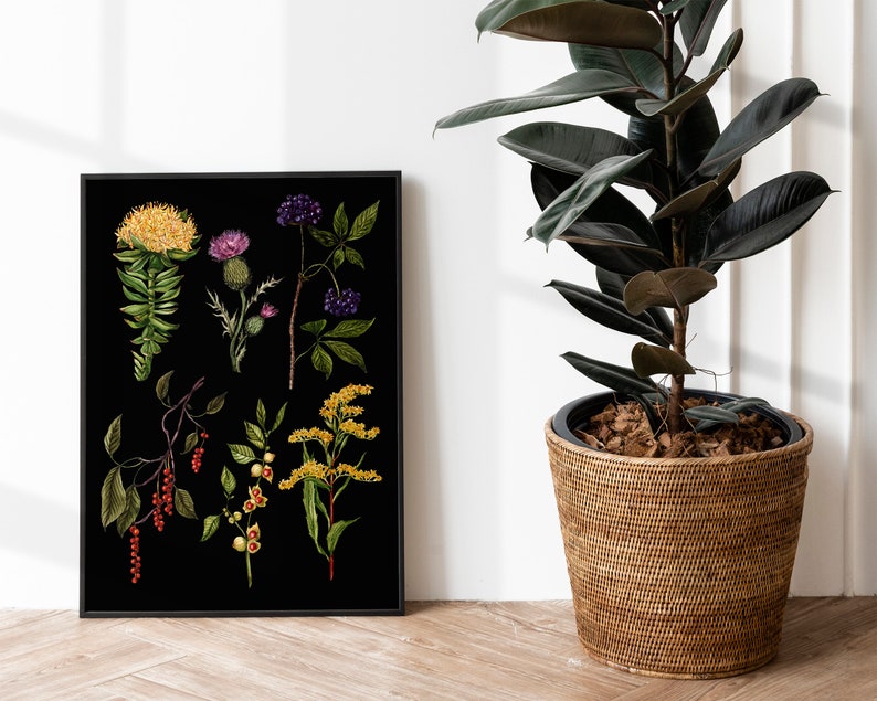 May include: A black and white botanical illustration featuring a variety of plants and flowers, including a yellow flower, a purple thistle, a green plant with red berries, and a yellow flower with green leaves. The illustration is framed in a black frame and is hanging on a white wall.
