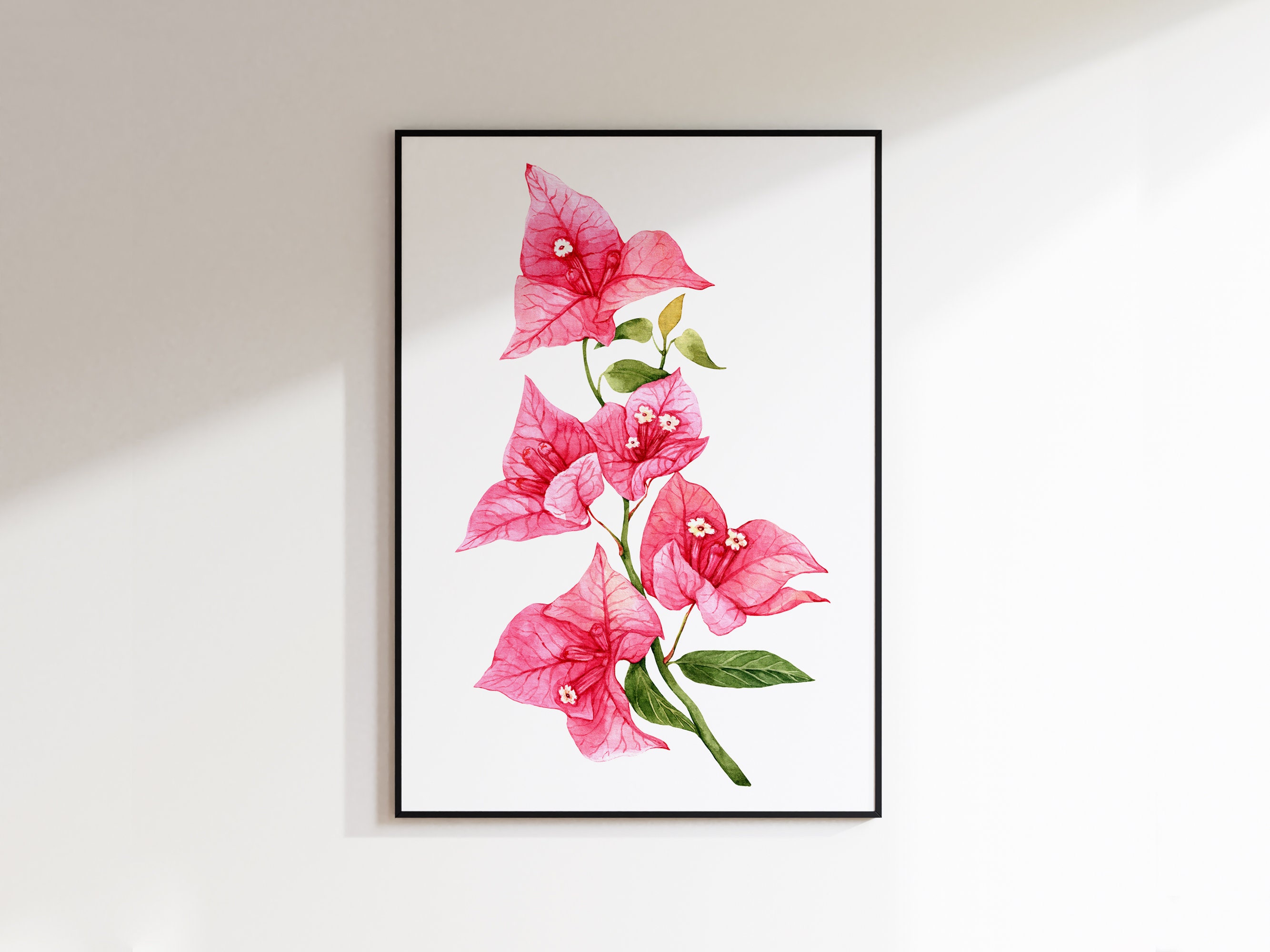 Limited 絵画 花 art ブーゲンビリア flower 美術品 母の日 ブーゲンビリアのプリント。ピンクのブーゲンビリアの水彩画