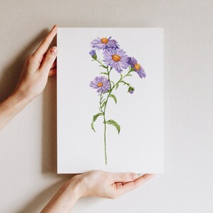 May include: A watercolor painting of a single stem of purple flowers with yellow centers. The flowers are arranged in a cluster at the top of the stem, with a few smaller buds below. The painting is on a white background.