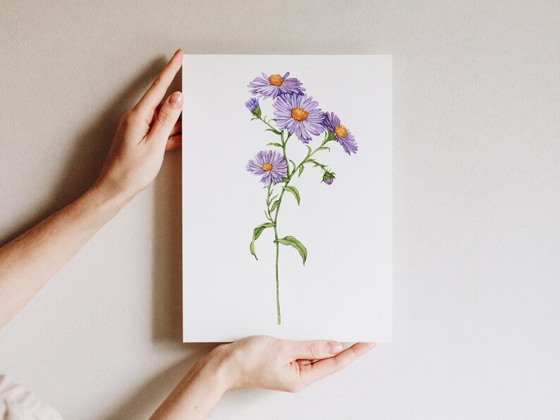 May include: A watercolor painting of a single stem of purple flowers with yellow centers. The flowers are arranged in a cluster at the top of the stem, with a few smaller buds below. The painting is on a white background.