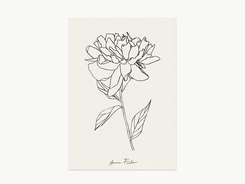 Peony art print - minimalist floral sketch. Hand-drawn flower line drawing of a Peony flower.