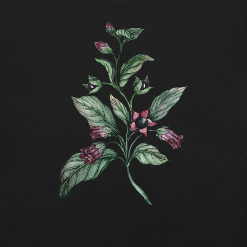 May include: Watercolor painting of a dark green plant with purple flowers and black berries. The plant is on a black background.