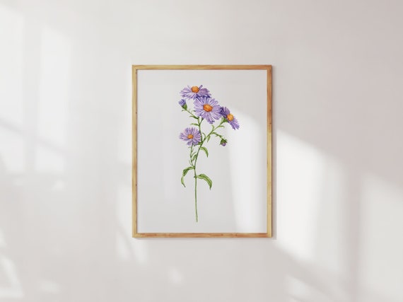 Aster Flower Watercolor Art Print: September Birth Flower