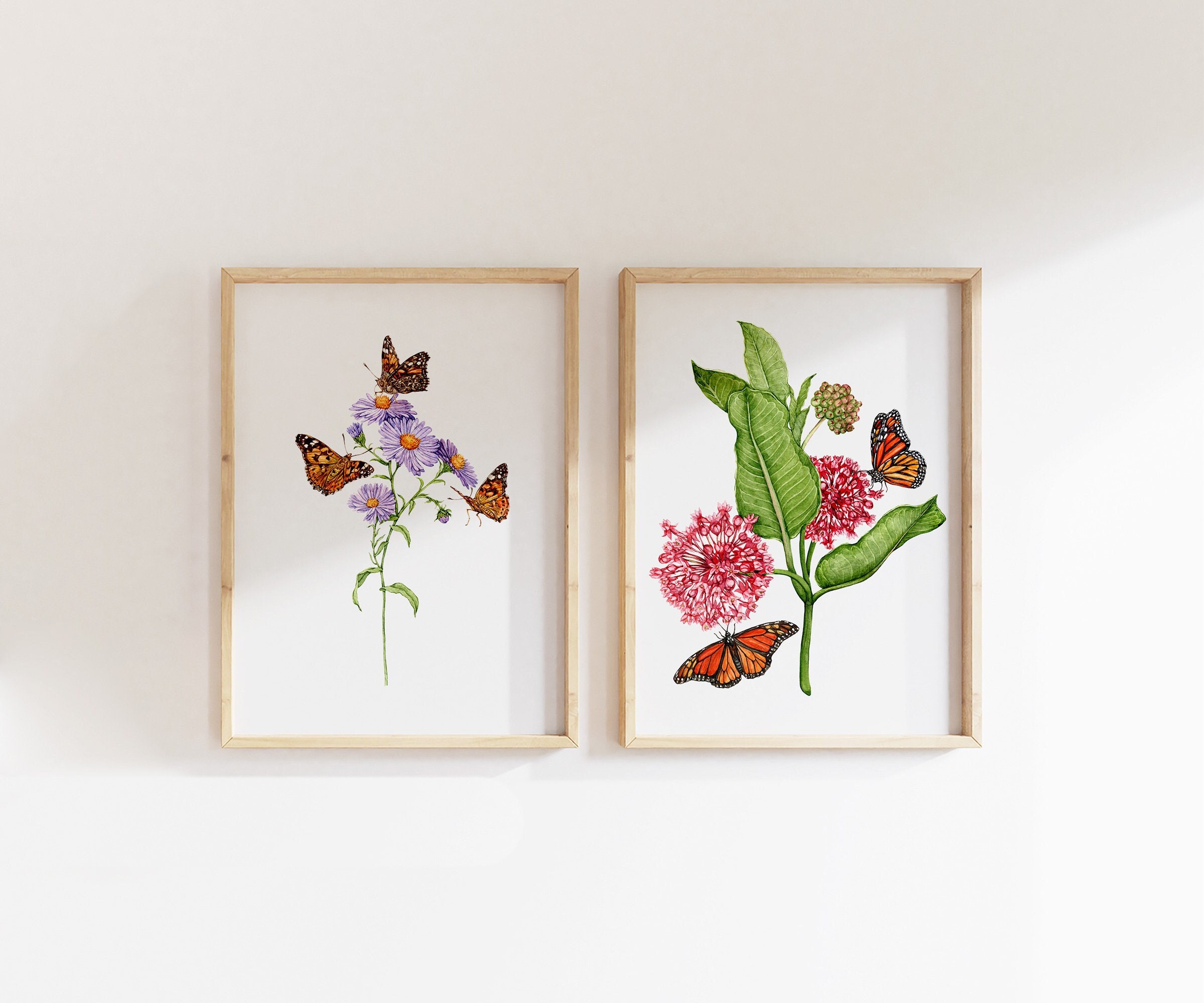 Butterfly Garden Watercolor Print Set: Aster & Milkweed Botanical Art ...