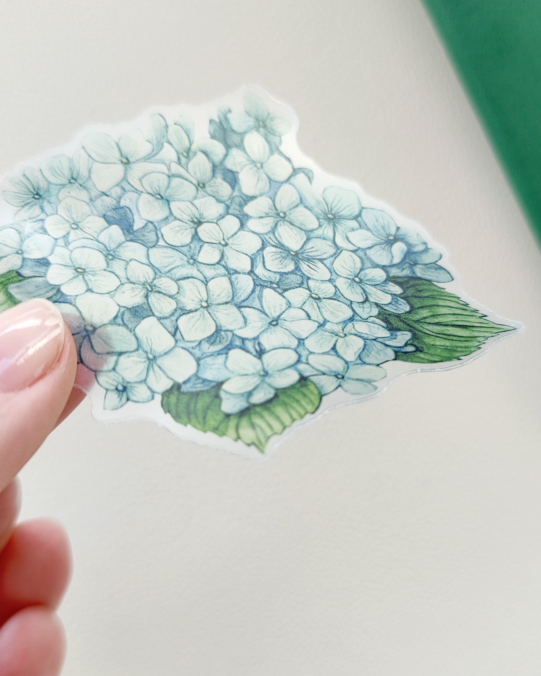 Transparent Hydrangea Sticker, Watercolor Flower Sticker, Vinyl 3”x3 ...