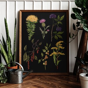 May include: A framed botanical illustration featuring a collection of various flowers and plants on a black background. The flowers include yellow, white, purple, and red blooms. The plants have green leaves and stems.
