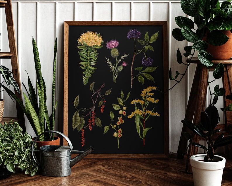 May include: A framed botanical illustration featuring a collection of various flowers and plants on a black background. The flowers include yellow, white, purple, and red blooms. The plants have green leaves and stems.