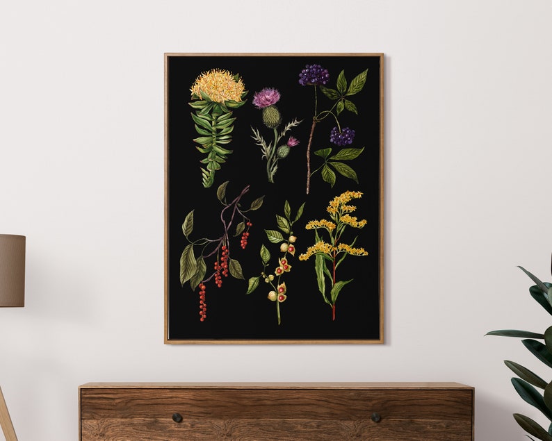 May include: A botanical illustration featuring various plants and flowers on a black background. The illustration includes a yellow flower, a purple thistle, a cluster of black berries, a red berry branch, and a yellow flower with green leaves.