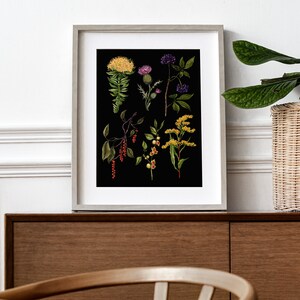 May include: A framed botanical print featuring a black background with various plants and flowers in shades of yellow, red, purple, and green. The plants include a thistle, a flowering vine, and a berry bush.