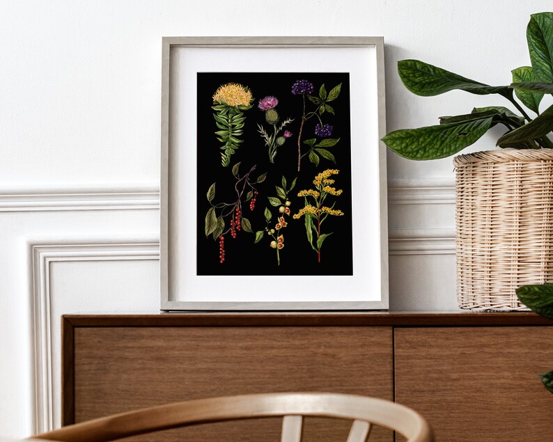 May include: A framed botanical print featuring a black background with various plants and flowers in shades of yellow, red, purple, and green. The plants include a thistle, a flowering vine, and a berry bush.