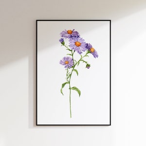 May include: A watercolor painting of a purple aster flower with a yellow center. The flower is depicted in a simple, elegant style, with delicate details and a soft, muted color palette.
