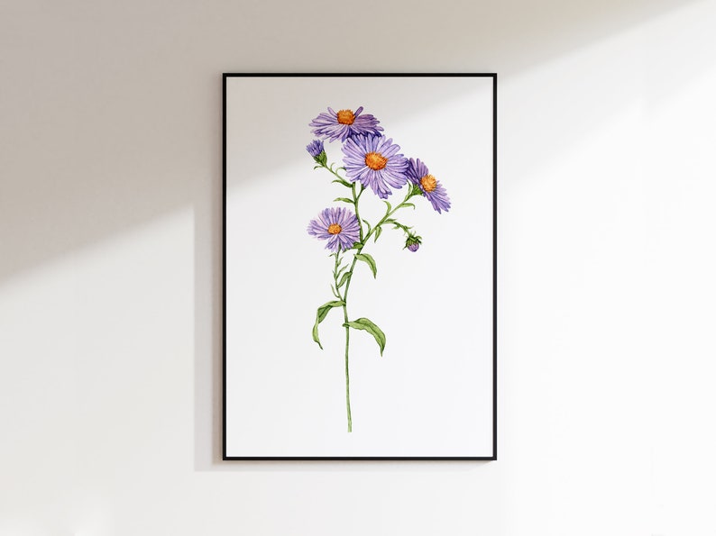 May include: A watercolor painting of a purple aster flower with a yellow center. The flower is depicted in a simple, elegant style, with delicate details and a soft, muted color palette.