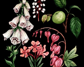 Poison garden dark botanical print. Witchy decor. Deadly poisonous plant art-Foxglove, Baneberry,Oleander,Bleeding heart,Manchineel apple