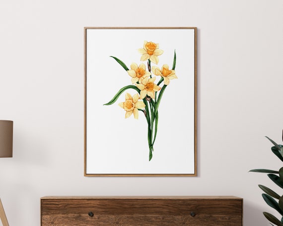 Daffodils Art Print. March Birth Flower, Watercolor Floral Painting