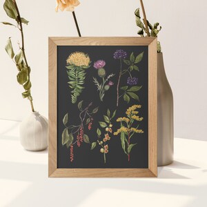 May include: A framed botanical illustration featuring a collection of various flowers and plants, including a yellow flower with green leaves, a purple thistle, a cluster of red berries, and a yellow flower with green leaves. The illustration is set against a dark background.