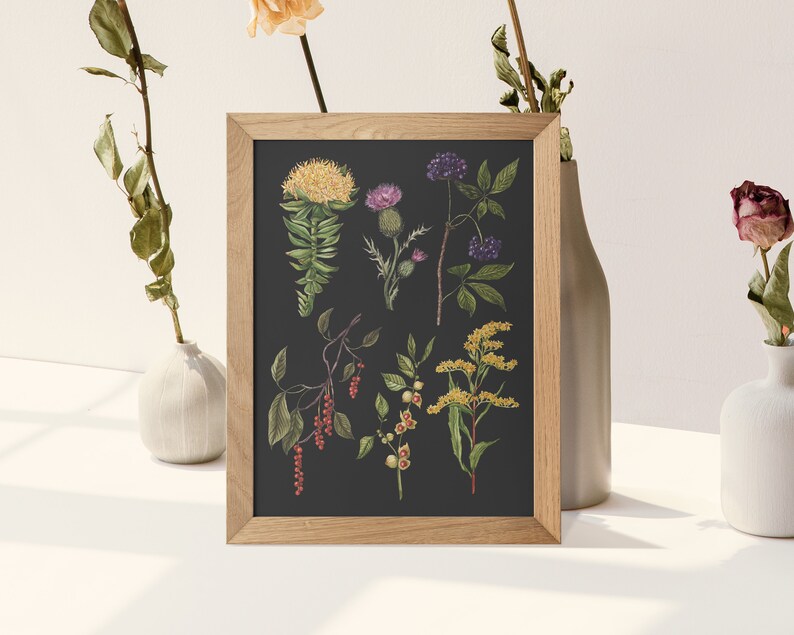 May include: A framed botanical illustration featuring a collection of various flowers and plants, including a yellow flower with green leaves, a purple thistle, a cluster of red berries, and a yellow flower with green leaves. The illustration is set against a dark background.