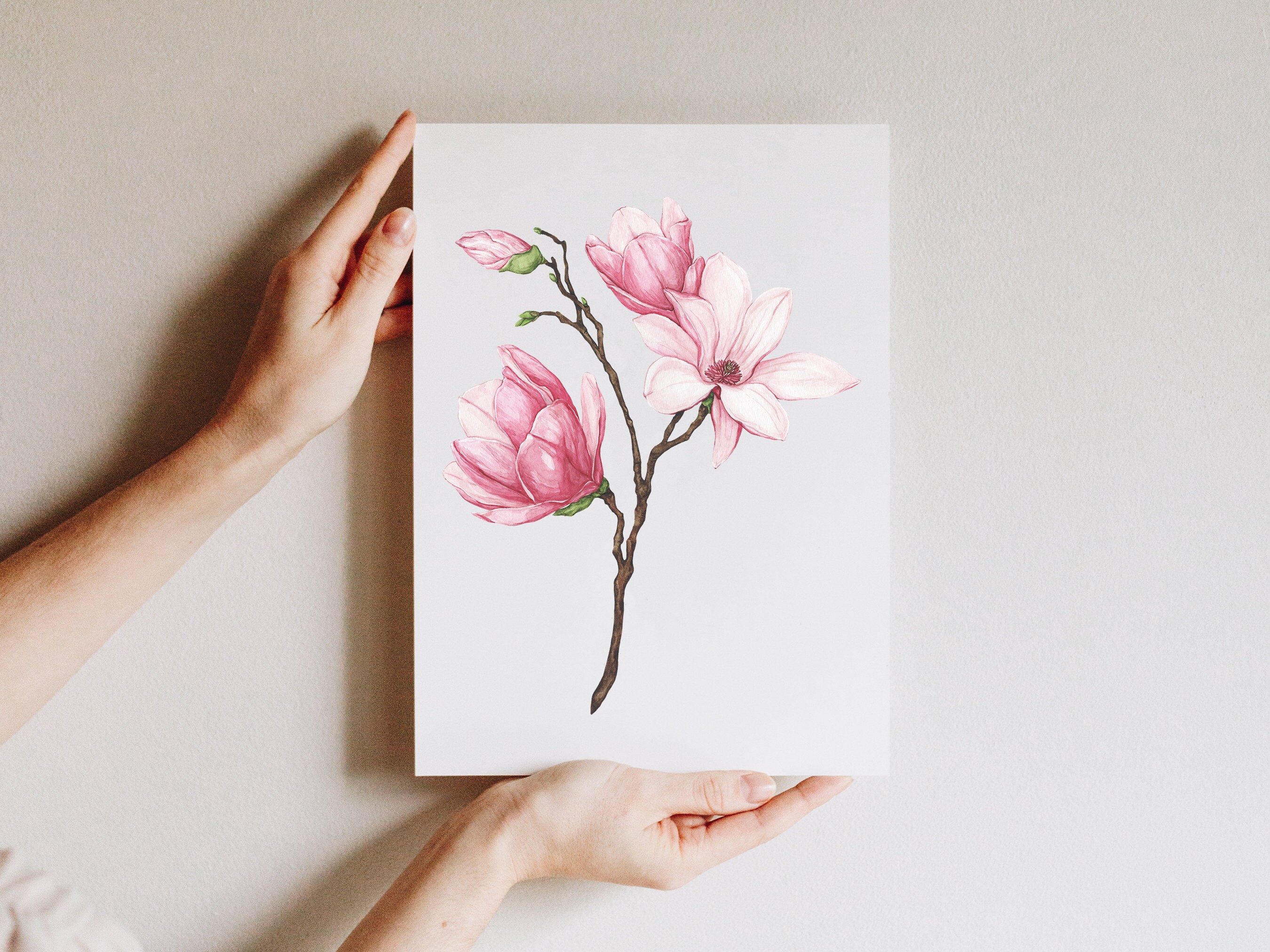 Watercolor pink magnolia art print — Anna Farba Illustration
