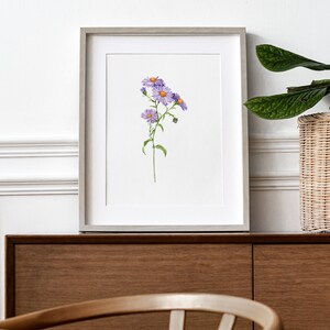 May include: A framed print of a watercolor painting of purple and white aster flowers with orange centers. The print is in a silver frame and is hanging on a white wall.