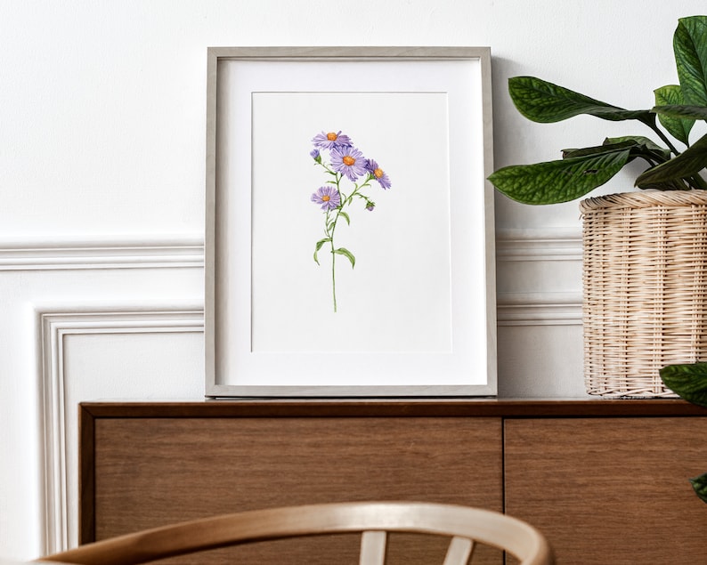 May include: A framed print of a watercolor painting of purple and white aster flowers with orange centers. The print is in a silver frame and is hanging on a white wall.
