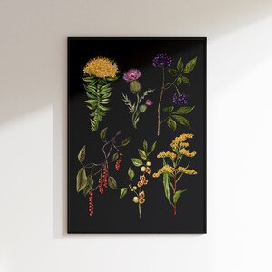 May include: A black and white botanical illustration featuring nine different plants with flowers, berries, and leaves. The plants are arranged in a grid pattern on a black background.