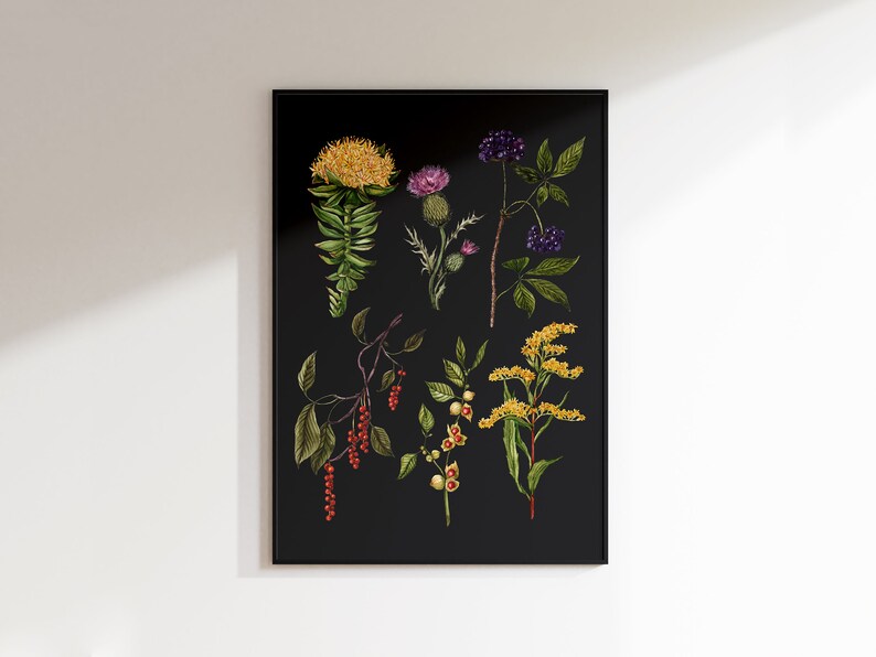 May include: A black and white botanical illustration featuring nine different plants with flowers, berries, and leaves. The plants are arranged in a grid pattern on a black background.