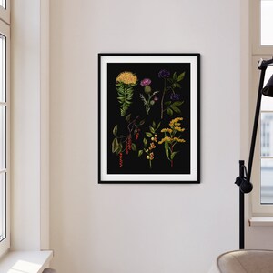 May include: A black and white botanical illustration featuring various flowers and plants, including a yellow flower with green leaves, a purple flower with green leaves, a red berry branch, and a yellow flower with green leaves. The illustration is framed in a black frame.