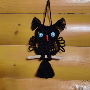 May include: Black macrame owl wall hanging with blue eyes and a red beak. The owl is hanging from a wooden branch with a black tassel.