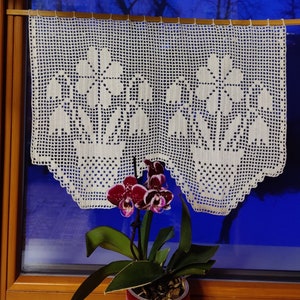 May include: A white crocheted lace valance with a floral design hangs on a window. A potted orchid with pink and white flowers sits on the windowsill.