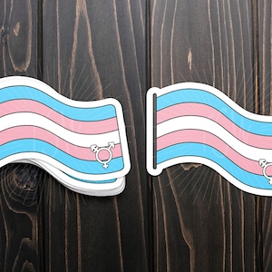 Transgender  pride flag sticker, die cut vinyl sticker, LGBT, LGBTQIA+, pride, gay pride, pride flag, lgbt pride sticker