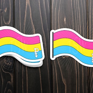 Pansexual pride flag sticker, die cut vinyl sticker, LGBT, LGBTQIA+, pride, gay pride, pride flag, lgbt pride sticker
