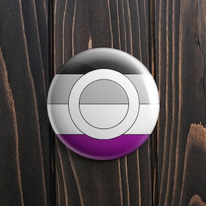 Asexuelle Flagge Anstecker, Lgbt, LGBTQIA+, Pride, Gay Pride, Lgbt Pride, Pride Flag, transgender, gay, lesbisch, bisexuell, gender fluid
