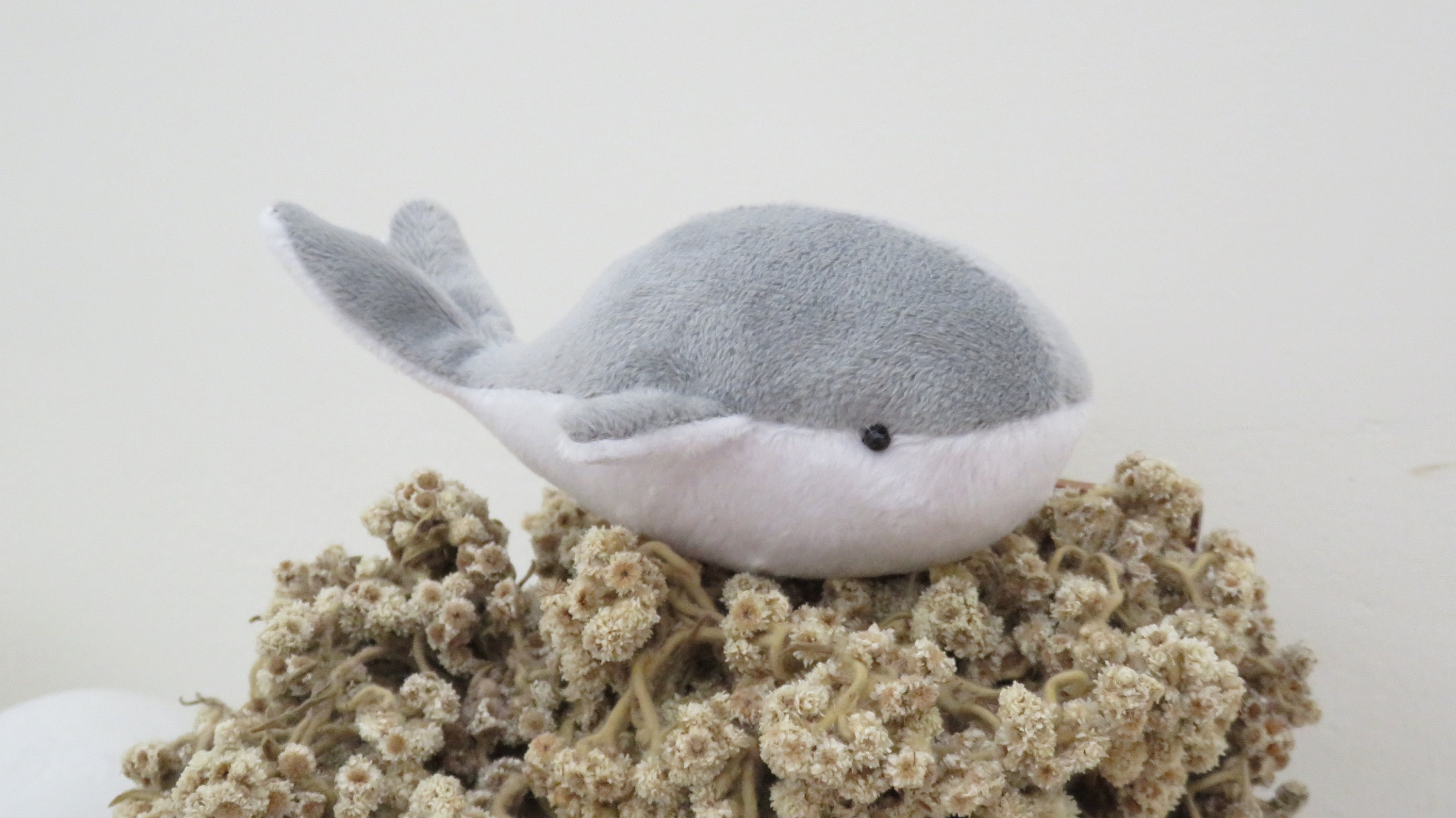 Whale Plush Pattern Whale Sewing Pattern Whale Digital Template PDF - Etsy