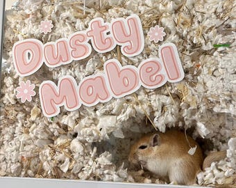 Custom Pet Name Sticker with Flower Decals - Static Cling Vinyl