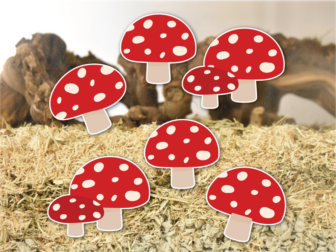 Toadstool Cage Stickers Static Cling Vinyl Mushrooms Hamsters Gerbils