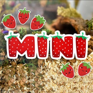 May include: Red and white strawberry-shaped letters spelling out the word "MINI" against a backdrop of brown wood chips and green moss.