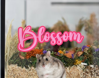 Two-Tone Custom Pet Name Cling: Removable & Reusable