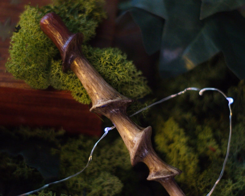 Download Magic Wand Mushroom Wizardry World Witch Wizard Fairy ...