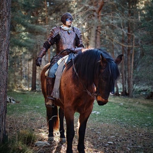May include: A person wearing leather armor and a helmet with blue face paint rides a brown horse through a forest. The horse has a black mane and tail.