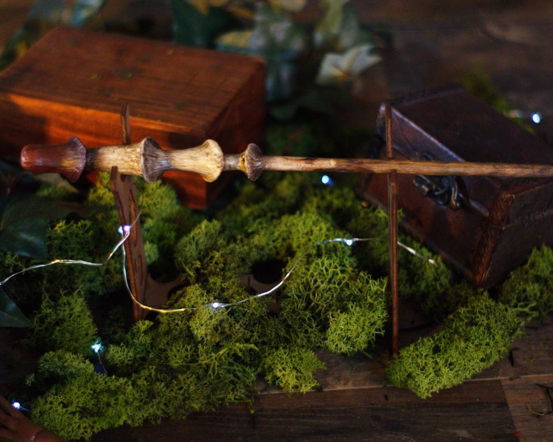 Download Magic Wand Mushroom Wizardry World Witch Wizard Fairy ...