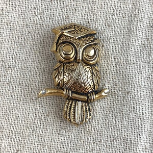 May include: A gold-tone owl brooch with intricate details, perched on a branch. The owl is wearing a graduation cap and has large, round eyes.