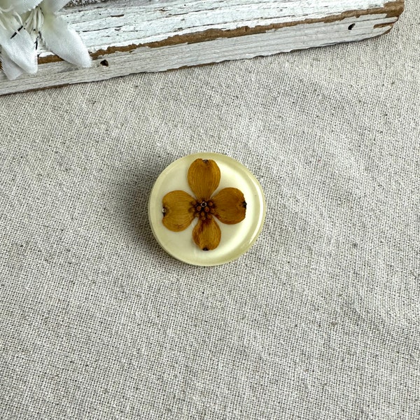 Dogwood in Lucite Brooch, 1 1/2" in diameter, creamy background, dried flower, vintage unbranded