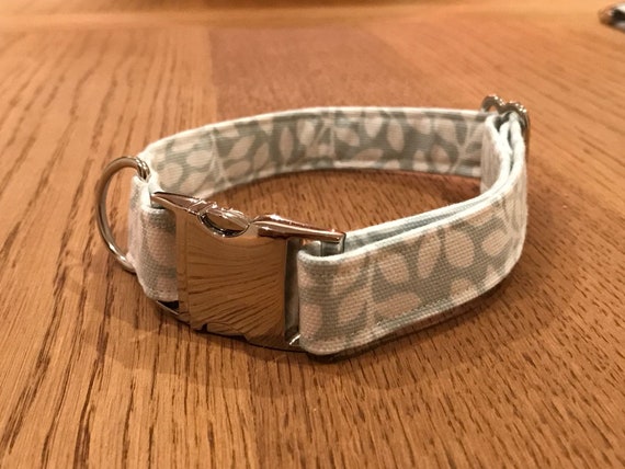 stylish dog collars