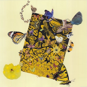 Poster artistico collage-carta "The Butterfly Effect", pop art, inquadratura, idea regalo, decorazione murale.