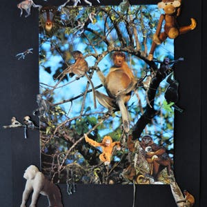Poster artistic collage &quot;On Est Tous Des Apes&quot;, gift idea, wall decoration, frames